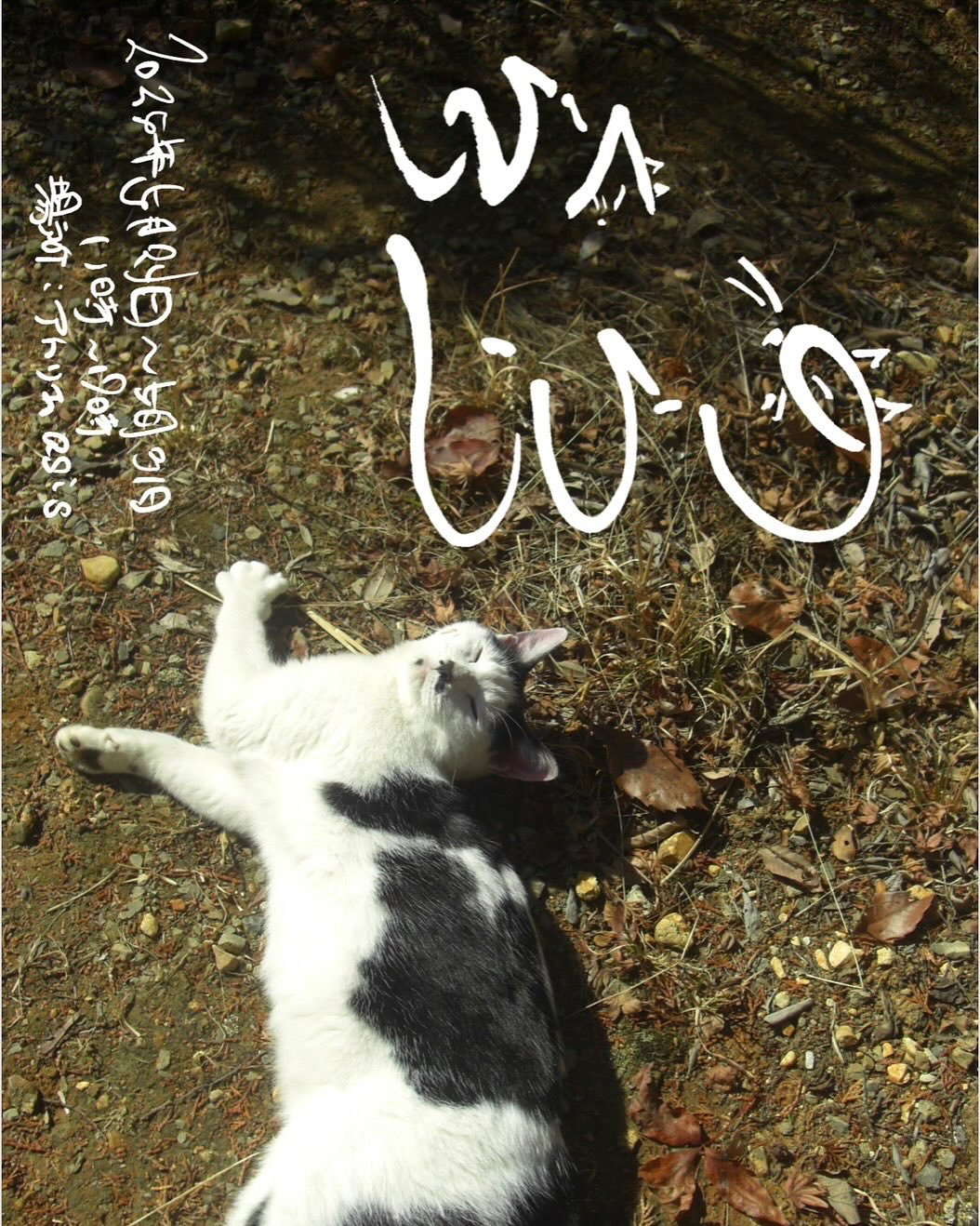 【グループ展のお知らせ📢】