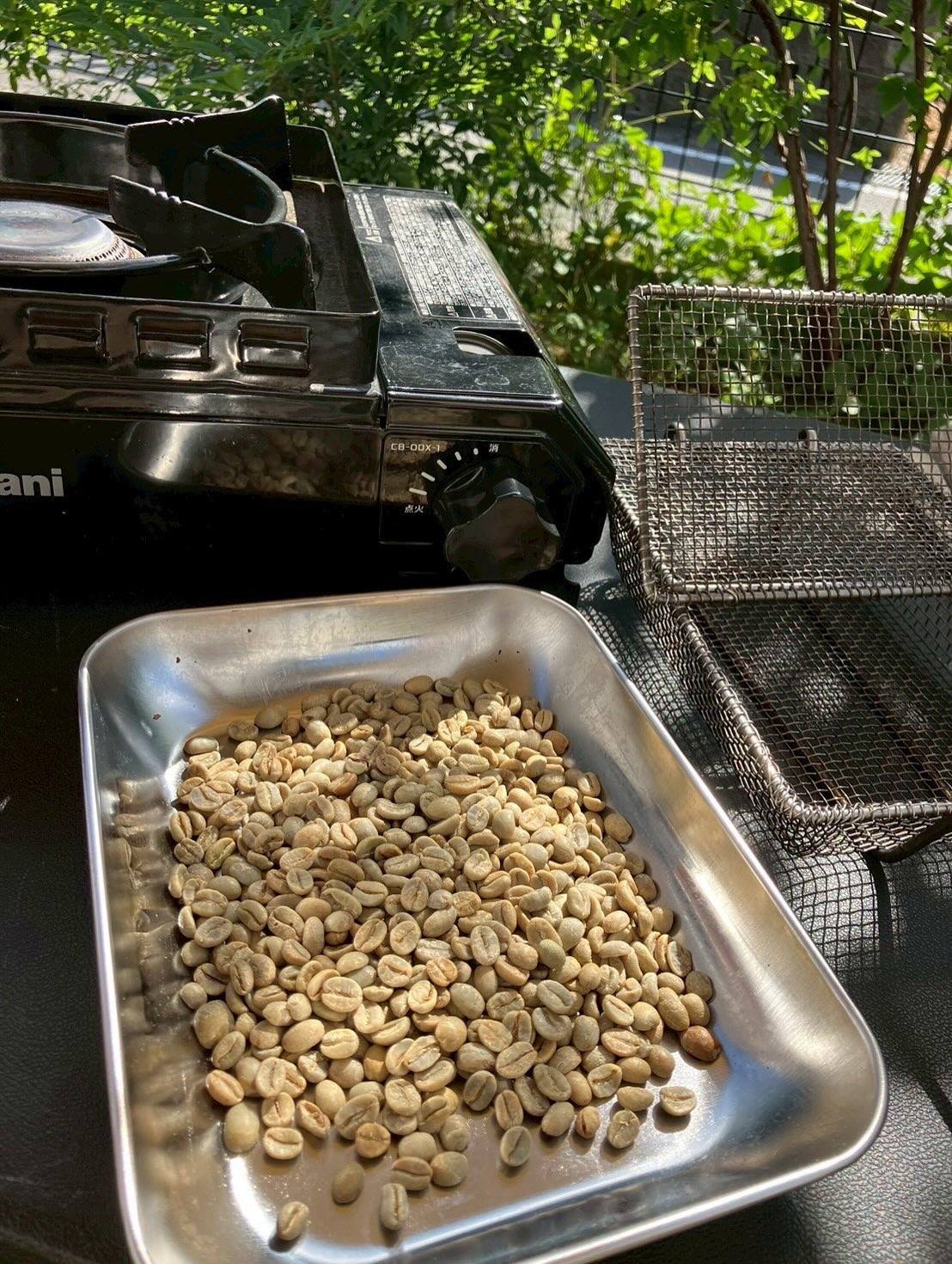 今週土曜日は、Open asis❣️