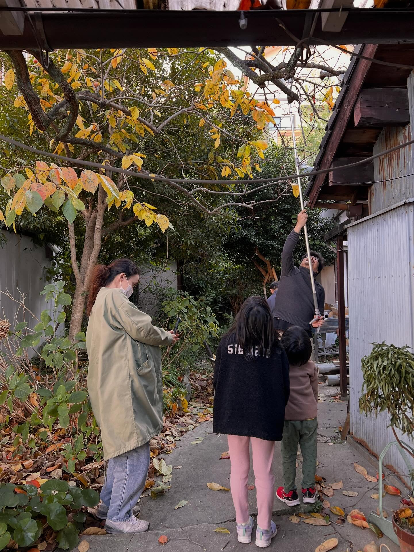 秋の収穫祭のご案内です！
